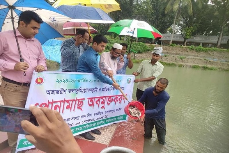 নাটোরের গুরুদাসপুরে ৪১৫ কেজি রুই জাতীয় পোনামাছ অবমুক্ত