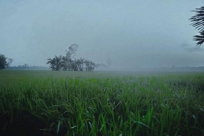 লালমনিরহাটে  শীতের হাতছানি