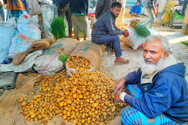 লালমনিরহাটে আগাম জাতের আলু চাষে লাভবান কৃষকেরা