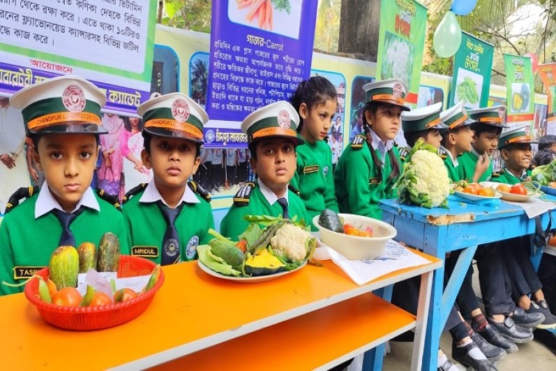 চাঁদপুরে শিক্ষার্থীদের নিয়ে দেশজ সবজি উৎসব