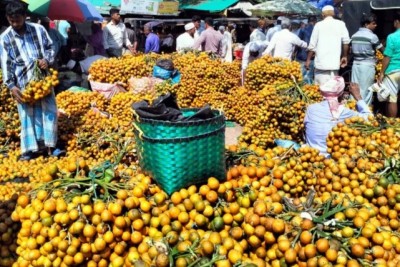 বরগুনায় সুপারির বাম্পার ফলন হাসছে চাষি