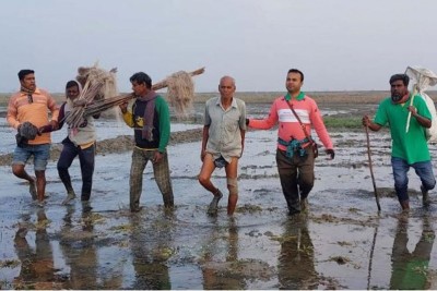 চলনবিলে তিন পাখি শিকারির দণ্ড