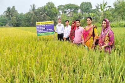 তাপপ্রবাহে  কৃষকের পাশে রয়েছে  গোপালগঞ্জ সদর উপজেলা কৃষি অফিস