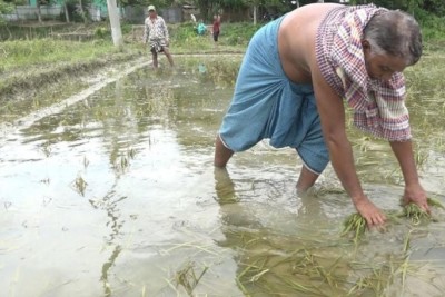 ব্রাহ্মণবাড়িয়ার কসবা-আখাউড়ায় বন্যা পরিস্থিতির উন্নতি: কৃষি ও মৎস্য খাতের ব্যাপক ক্ষয়ক্ষতি