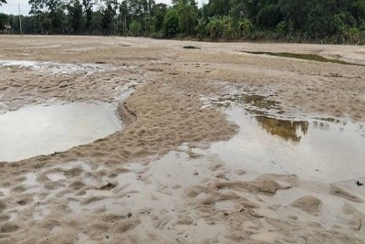 ফেনীর পরশুরামে বালুতে চাপা পড়েছে কৃষিজমি