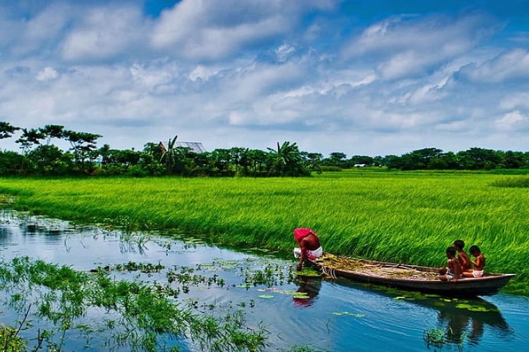 বাংলাদেশের ভৌগোলিক অবস্থান ২০°৩৪´ থেকে ২৬°৩৮´ উত্তর অক্ষাংশ এবং ৮৮°০১´ থেকে ৯২°৪১´ দ্রাঘিমাংশ পর্যন্ত বিস্তৃত...