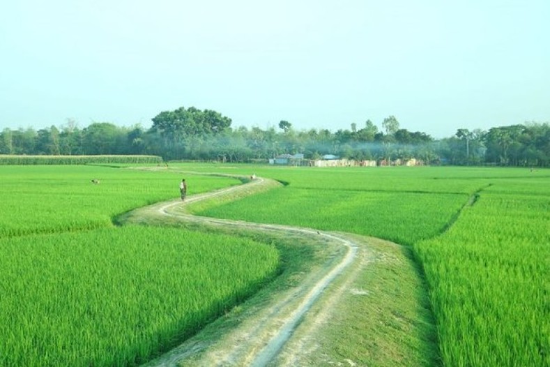 অনিন্দ্য সুন্দর বাংলাদেশের কোনো একটি গ্রাম...